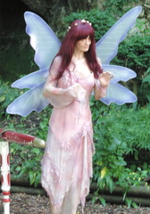 Fairy