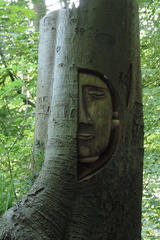 Face