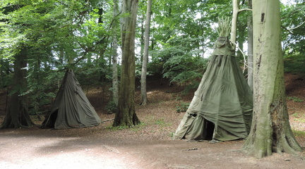 Wigwams
