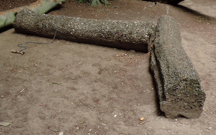 Wishing log