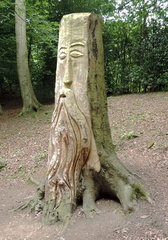 Tree stump