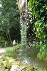 Petrifying Well