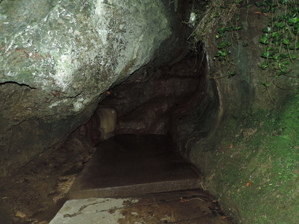 Wishing Well