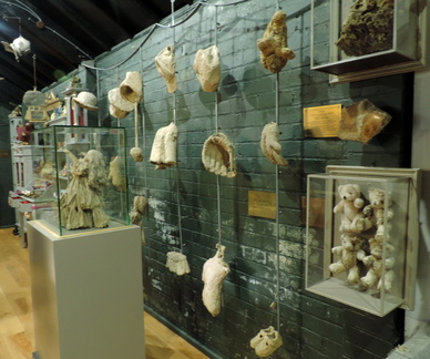 Petrified items
