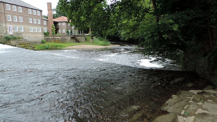 Down the river