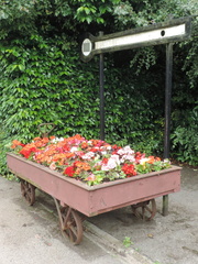 Flower display