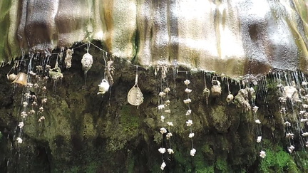 Petrifying well