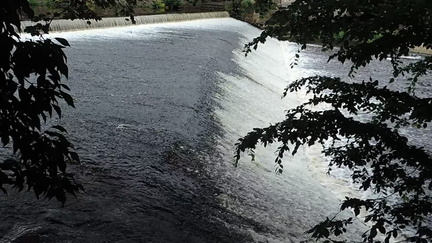 Weir