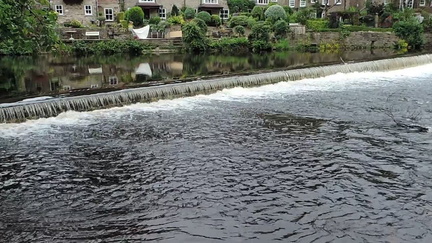 Weir