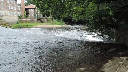 Down the river