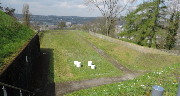 Viewpoint