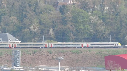 Train