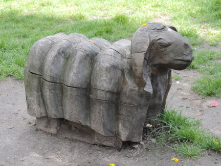 Wooden sheep