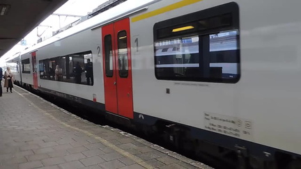 Train