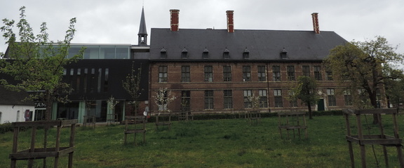 Across the lawn