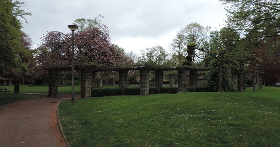 Pergola
