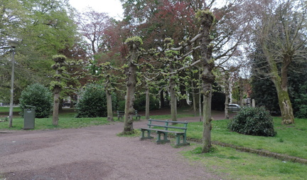 Trees