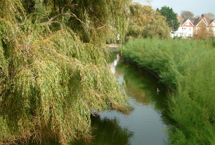 Stream