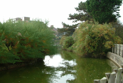 Stream