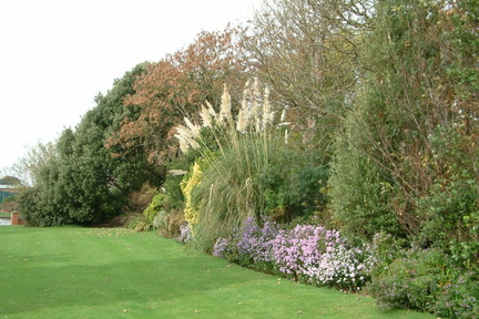 Flower bed