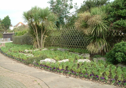 Border