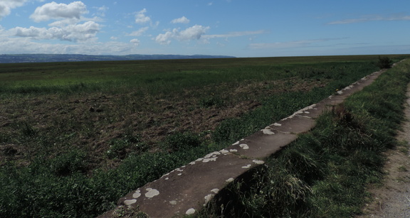 Along the estuary