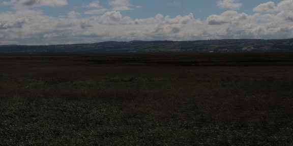 Across the estuary