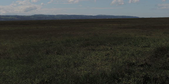 Across the estuary