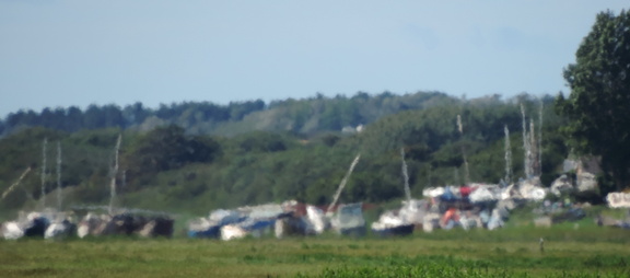 Distant marina