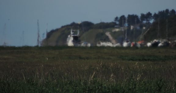 Distant marina