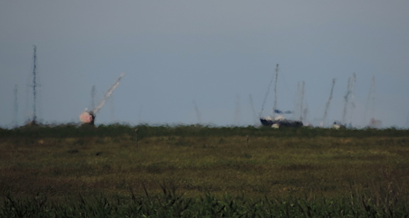 Distant marina