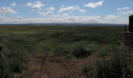 Across the estuary