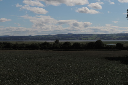 Across the estuary