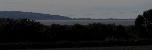 Estuary