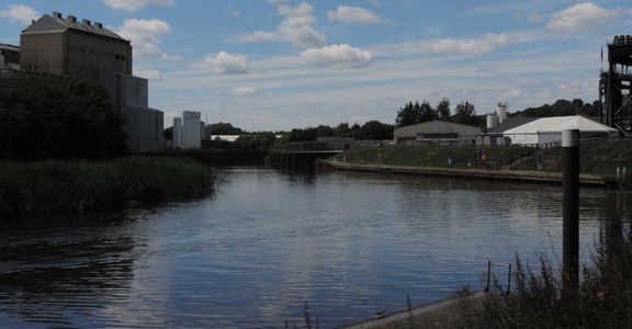 Along the river