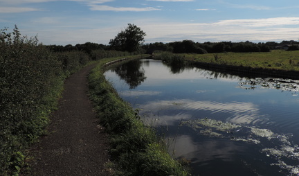 Along the canal