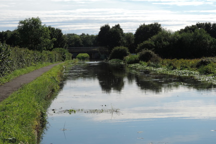 Bridge