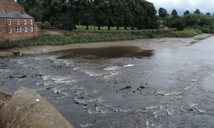 Rapids