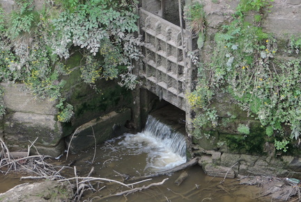 Sluice