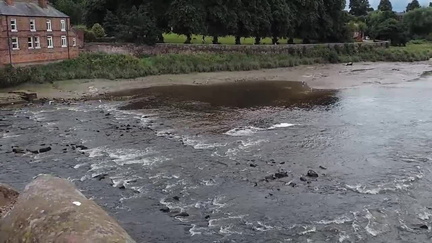 Rapids