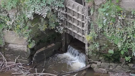Sluice