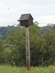 Nesting box