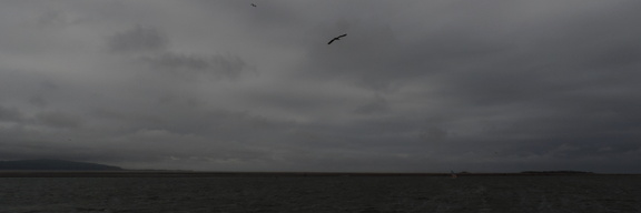 Opposite coast