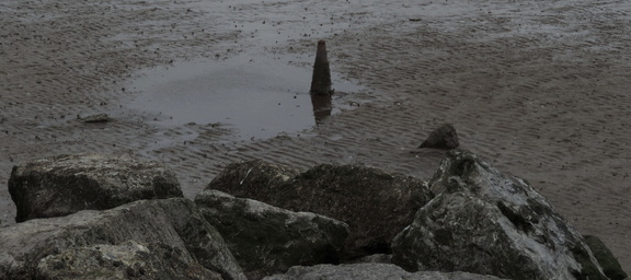 Cone