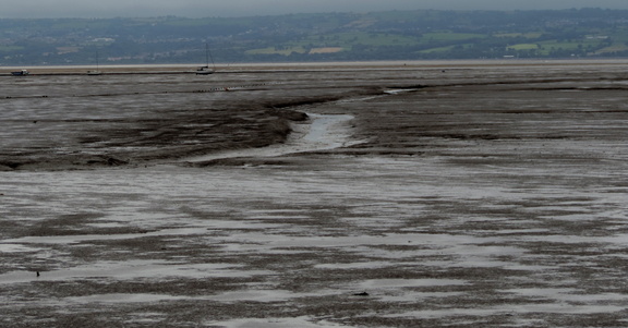 Across the estuary
