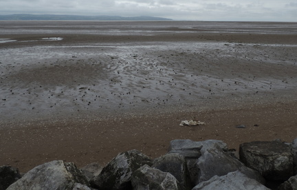 Across the estuary