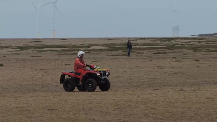 Buggy