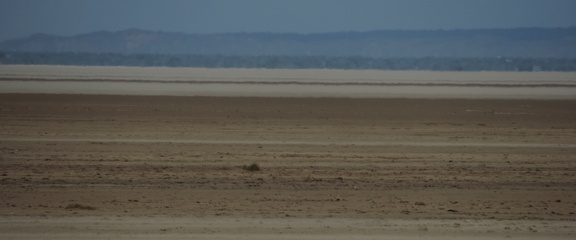 Across the sand