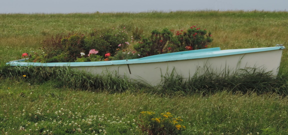 Flower boat