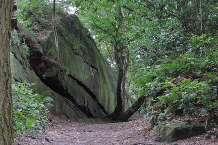 Rocks